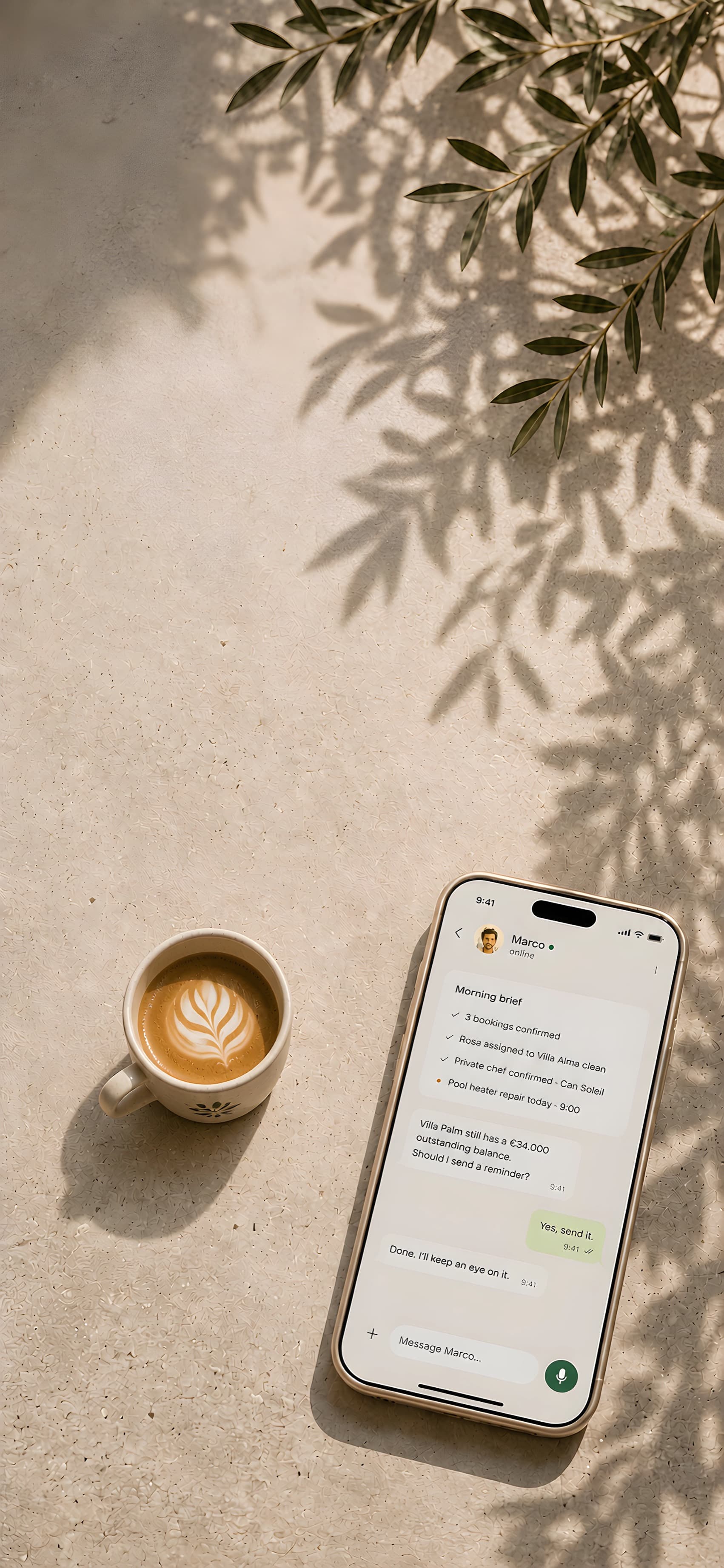 A phone on sunlit plaster showing Marco's morning brief in WhatsApp, beside a coffee, under olive-branch shadows