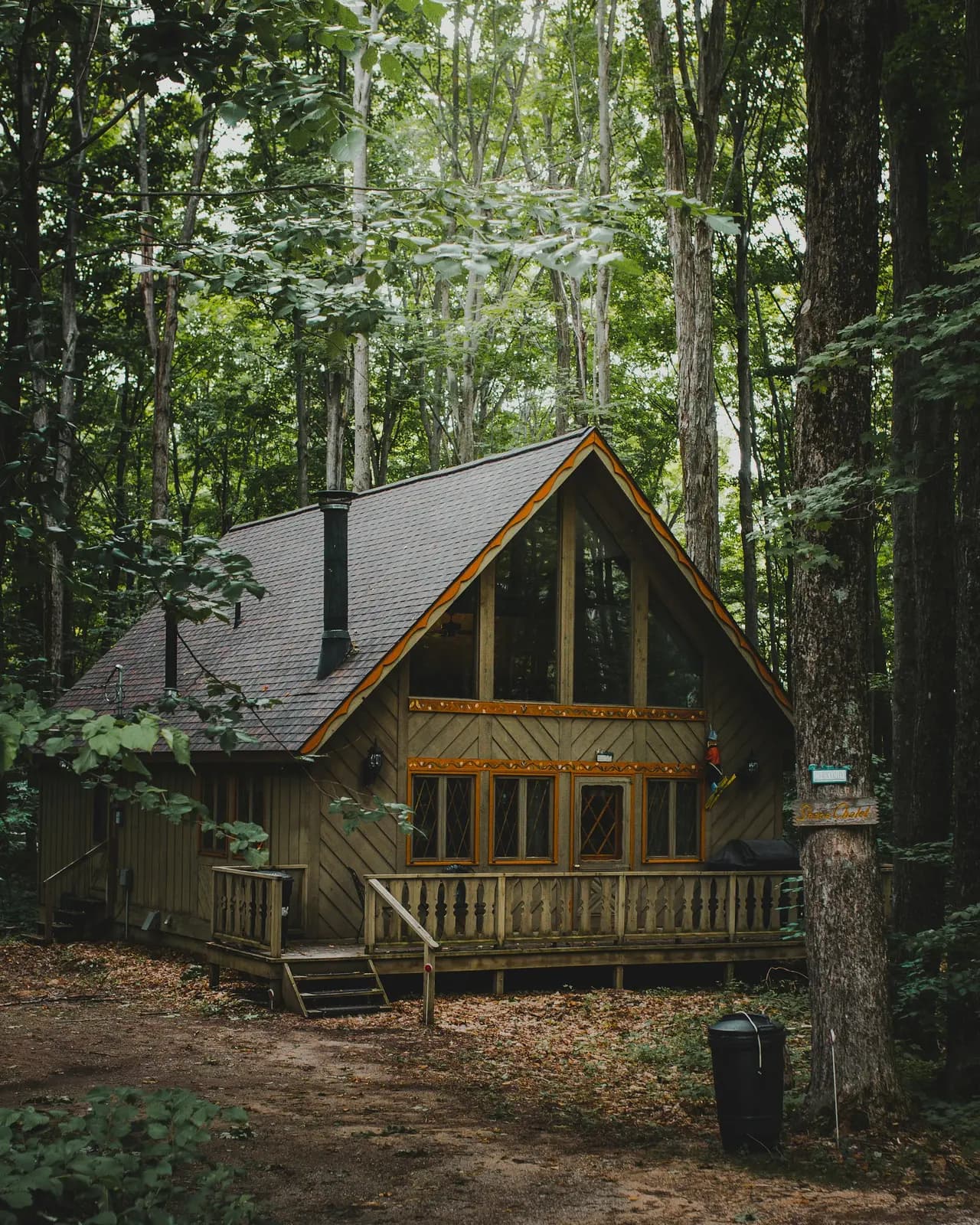 A woodland cabin surrounded by trees